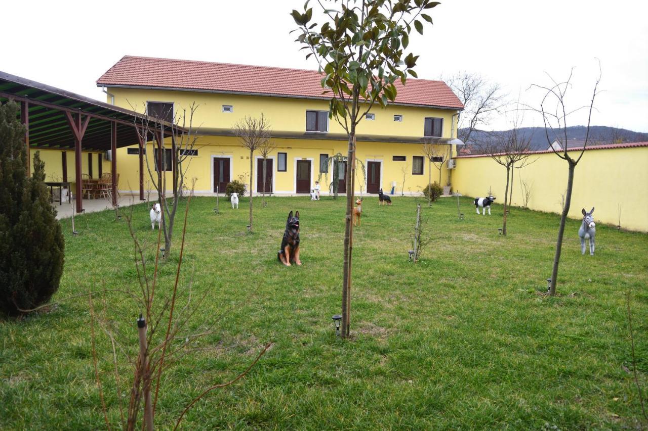 Casa Simescu II Hostel Karánsebes Kültér fotó